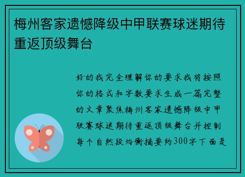 梅州客家遗憾降级中甲联赛球迷期待重返顶级舞台 梅州客家遗憾降级中甲联赛球迷期待重返顶级舞台